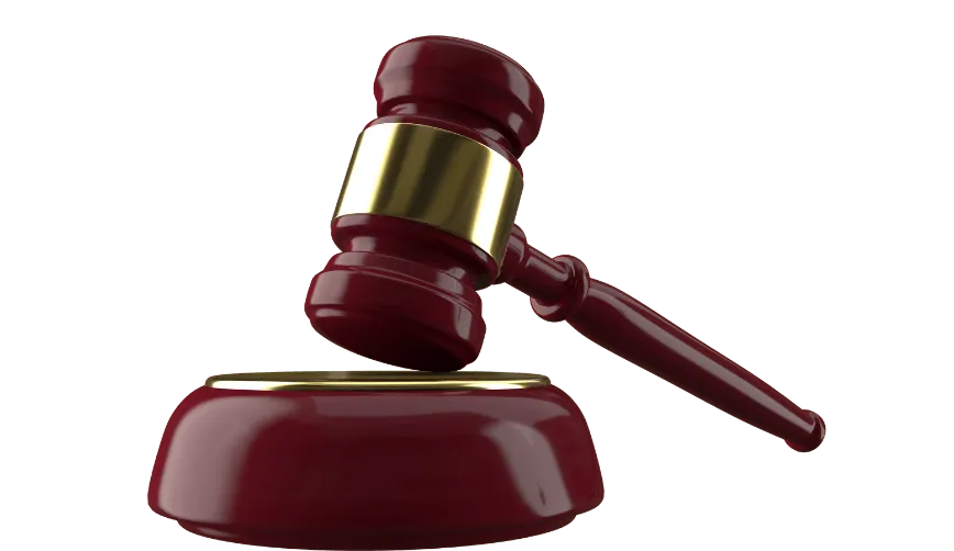 Legal Prrocess