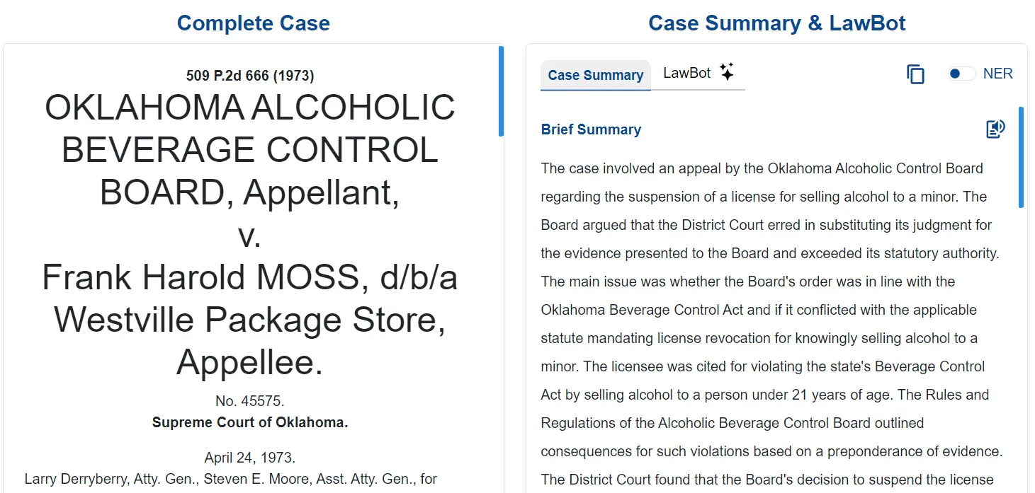Case summary with copy and NER tag options